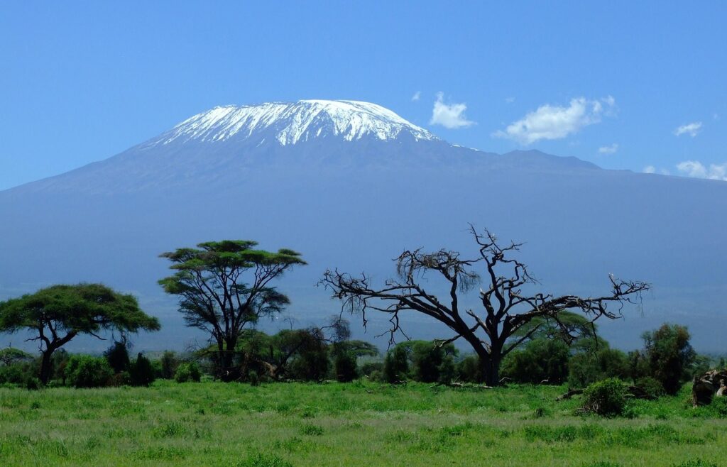 mount kilimanjaro, mountain, safari, africa, tanzania, amboseli national park, kenya, savannah, landscape, nature, mount kilimanjaro, mount kilimanjaro, mount kilimanjaro, mount kilimanjaro, mount kilimanjaro, tanzania, tanzania, tanzania, tanzania, kenya, kenya, savannah